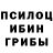 Галлюциногенные грибы Psilocybine cubensis Valerii Pilaev