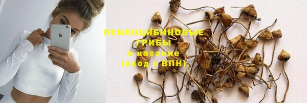 гидра Алзамай